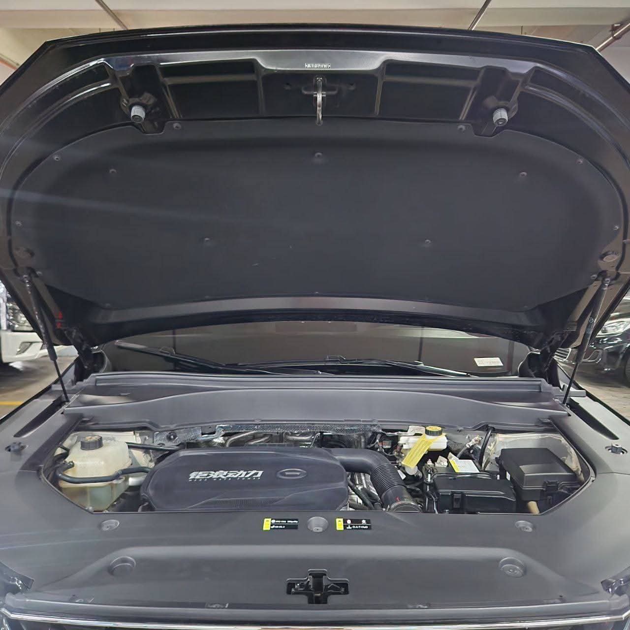 2024 Gac GS8 2.0L GT 2WD Gas AT