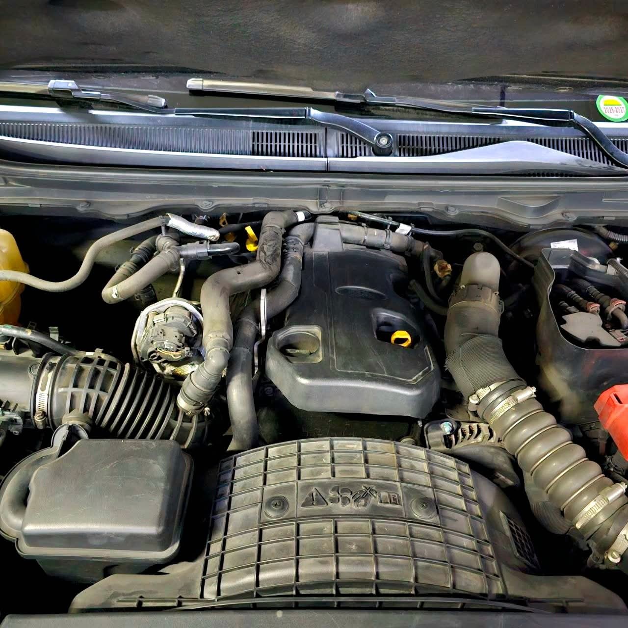 
								2019 Ford Ranger Wildtrak 2.0L DSL AT full									